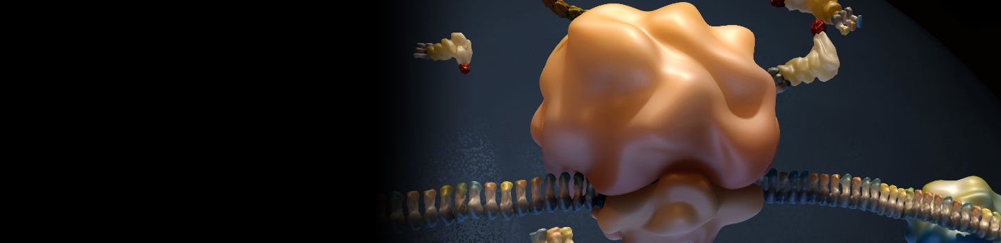 Illustration of RNAi