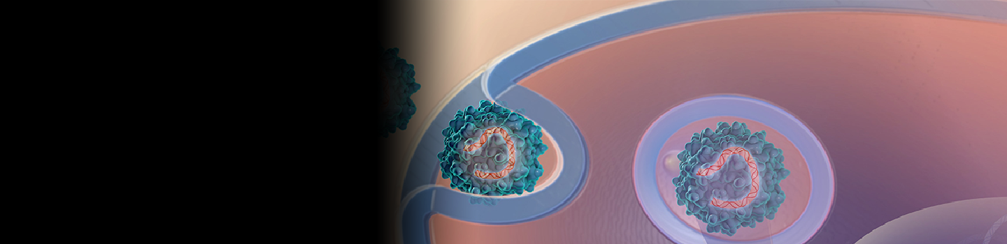 Graphic image of genetic matter.