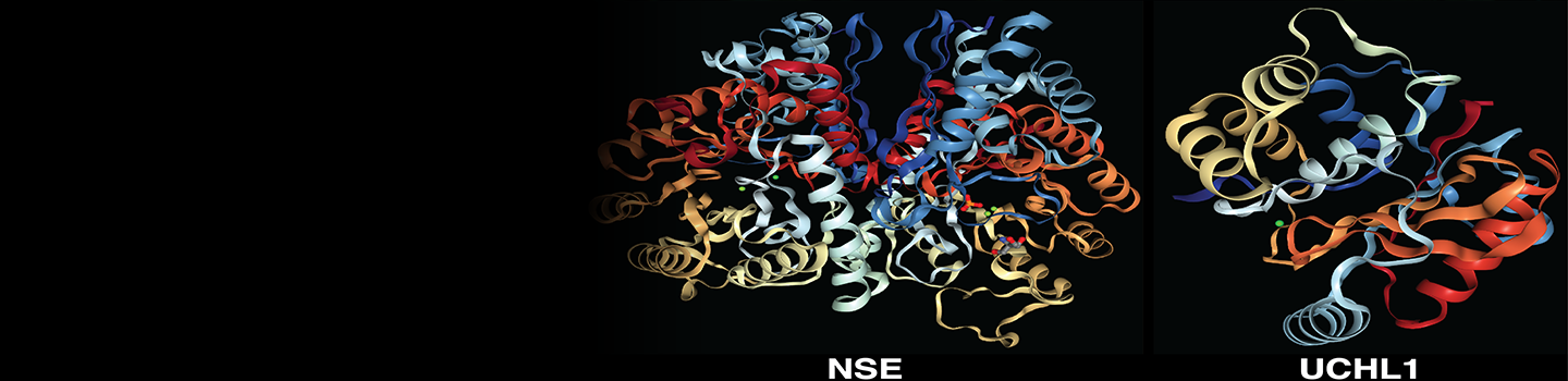 Clinical Trial Readiness for Rare Diseases, Disorders and Syndromes