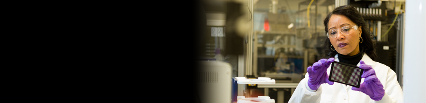 Scientist looking at well place