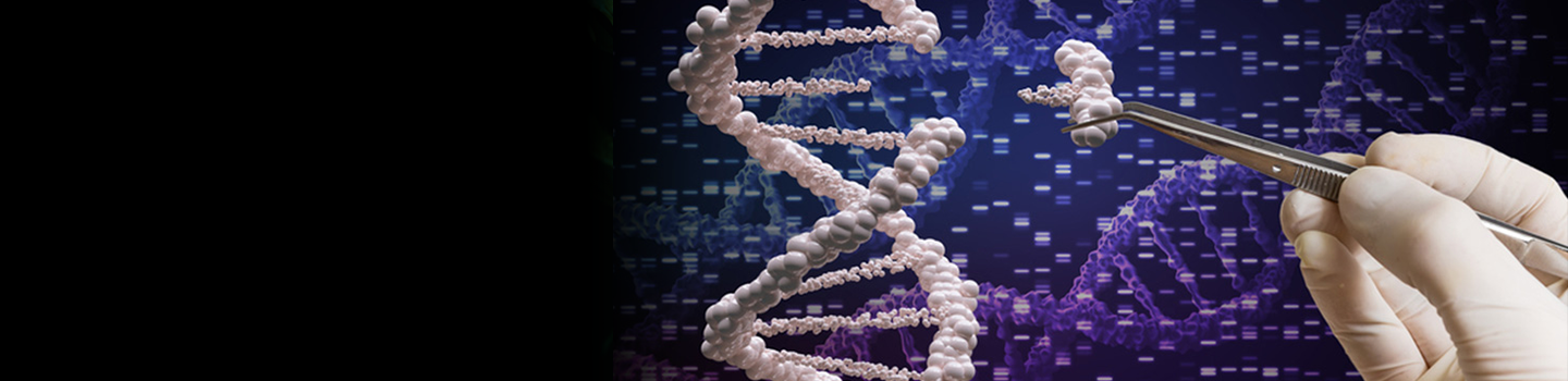 Somatic Cell Gene Editing Banner.